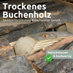 Hornbeam firewood kiln dried 25 cm 1RM/ 1.6 SRM