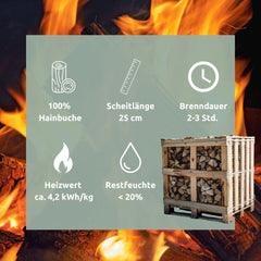 Hornbeam firewood kiln dried 25 cm 1RM/ 1.6 SRM