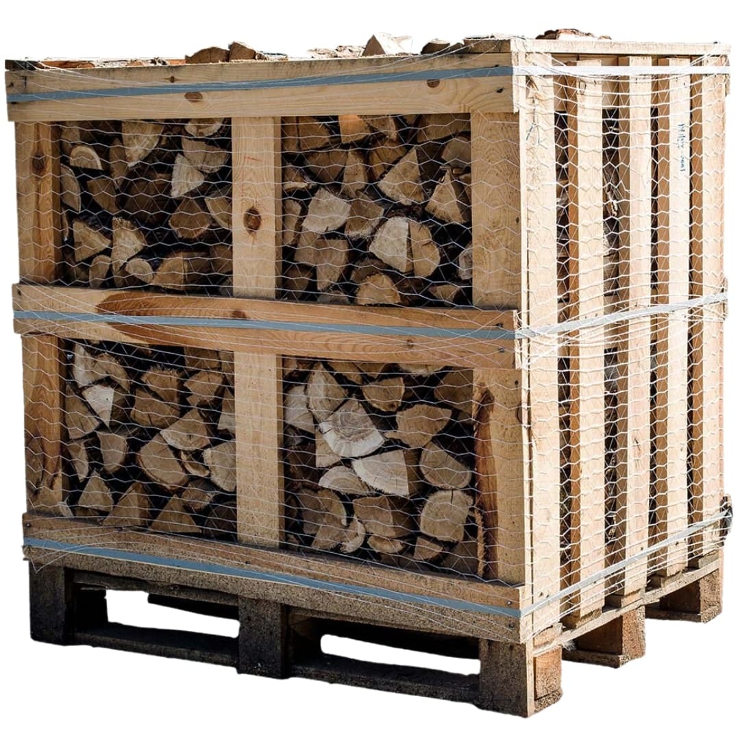 Hornbeam firewood kiln dried 25 cm 1RM/ 1.6 SRM