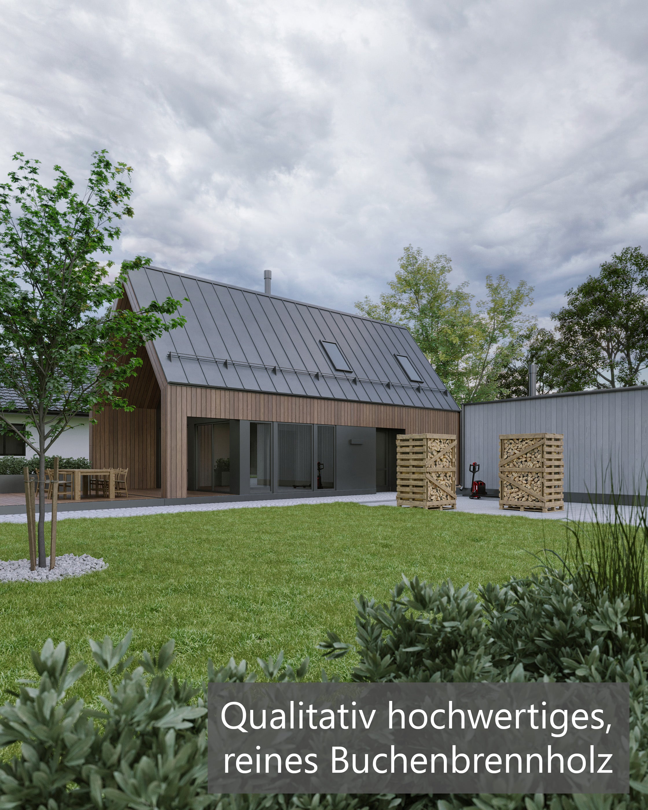 buche brennholz