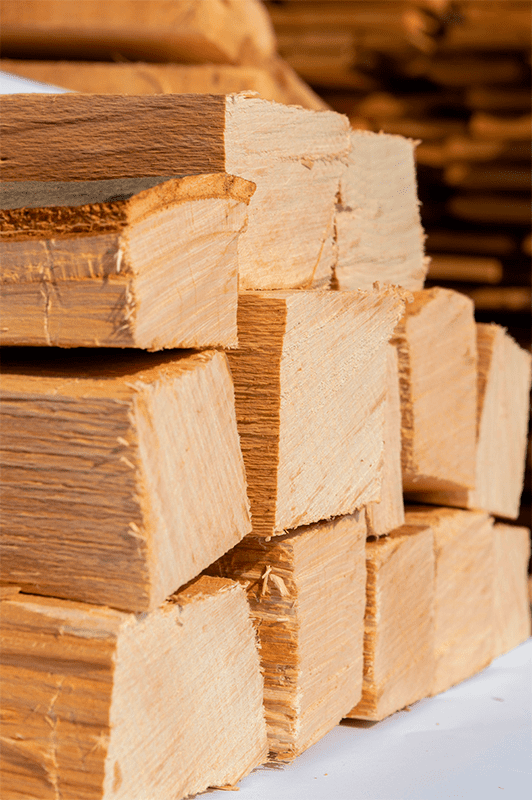 brennholz buche kaufen